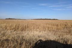 image000008