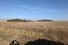 image000009