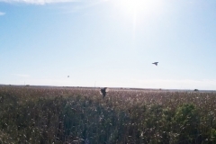 20171016_162430(0)_web