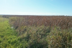 Resized_20171016_160652_web