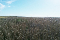 Resized_20171016_162419(0)_web