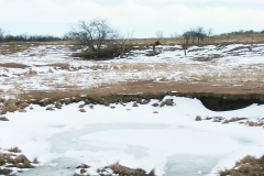 Resized_20180126_140851 (002)_web