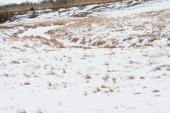 Resized_20180126_140909 (003)_web