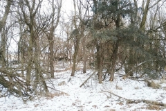7_web