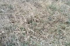 3_web