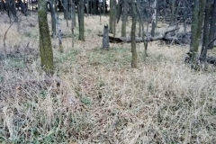 4_web