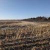 Geddes, Platte SD - 93 Acre Hunting Area