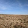 Geddes, Armour, Lake Andes SD - 160 Acre Hunting Area