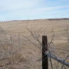 Avon and Wagner, SD Area Hunting