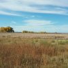 Platte, SD Hunting