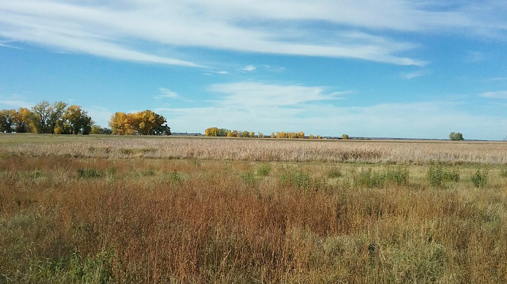 Platte, SD Hunting - Platte Housing and Hunting