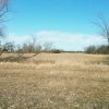 Tripp, Scotland and Tyndall, SD Area Hunting